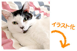 イラスト化